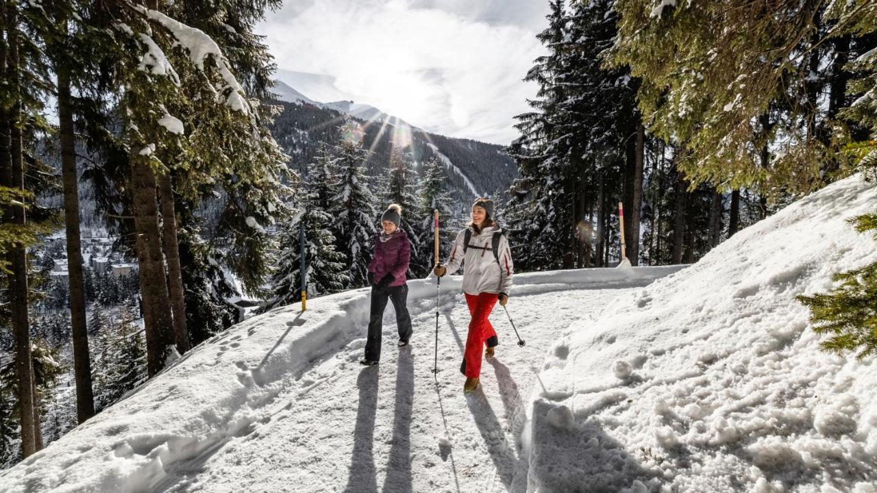 Grischa - Davos